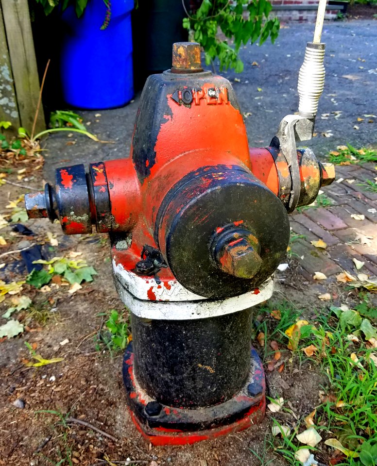 Motley hydrant - Arlington, MA - 20200809 093150