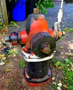 Motley hydrant - Arlington, MA - 20200809 093150
