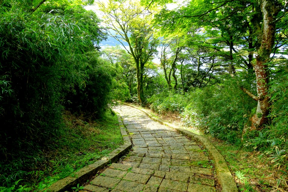 Motohakone-Kojiri path - Hakone, Japan - DSC05672