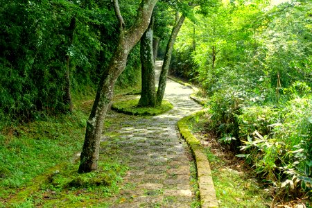 Motohakone-Kojiri path - Hakone, Japan - DSC05674