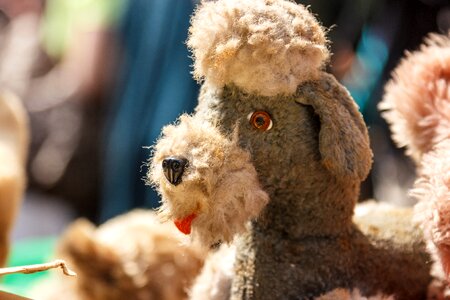 Knuffig cute soft toy