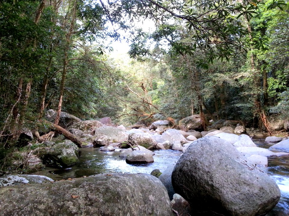 Mossman Gorge, Daintree National Park, Queensland 07