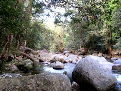 Mossman Gorge, Daintree National Park, Queensland 07