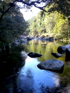 Mossman Gorge, Daintree National Park, Queensland 01