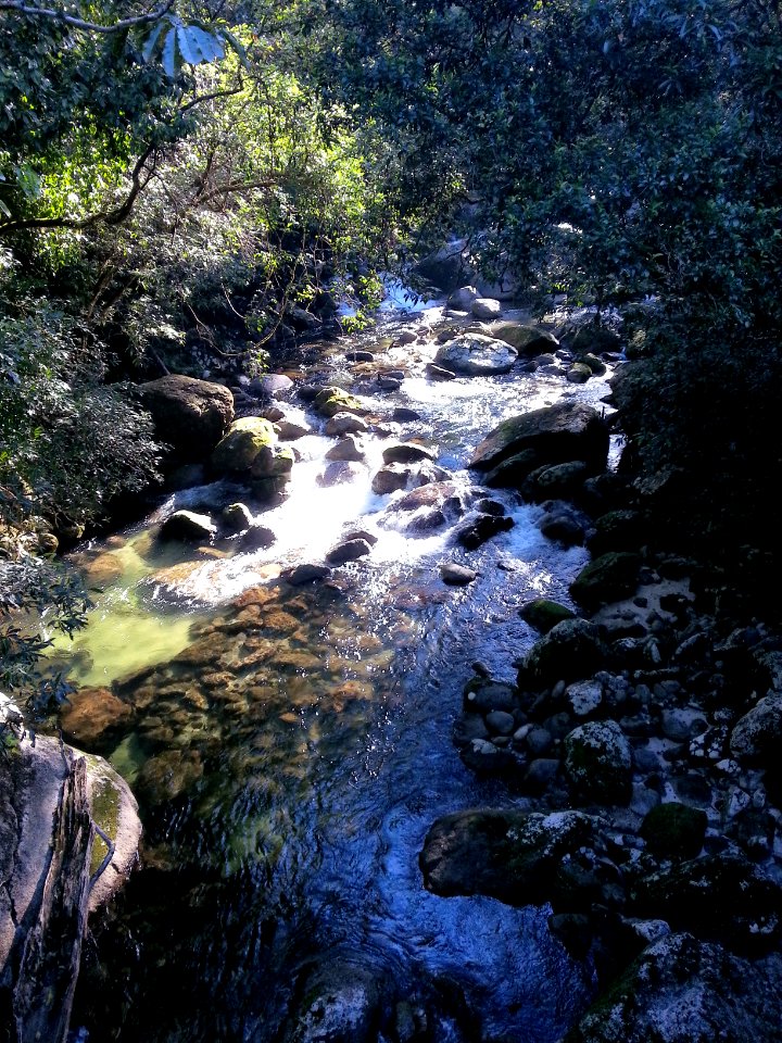 Mossman Gorge, Daintree National Park, Queensland 06