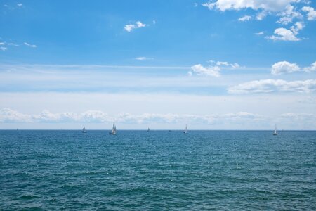 Sail sail boat sunny day