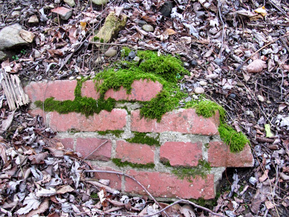 Moss-covered wall fragment, Emerald View Park off Greenleaf Street, 2020-12-04
