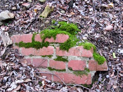 Moss-covered wall fragment, Emerald View Park off Greenleaf Street, 2020-12-04