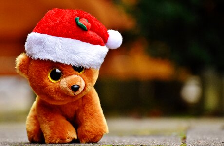 Stuffed animal soft toy santa hat photo