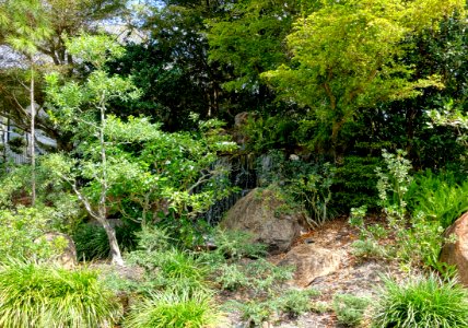 Morikami Falls - Morikami Museum and Japanese Gardens - Palm Beach County, Florida - DSC03586