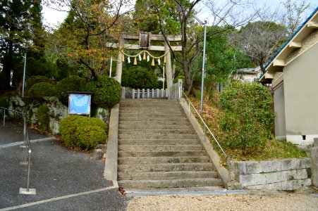 Morimoto-jinja (Habikino), torii