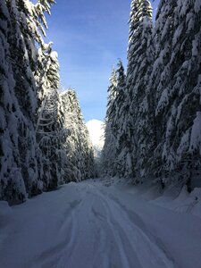 Winter nature mountain