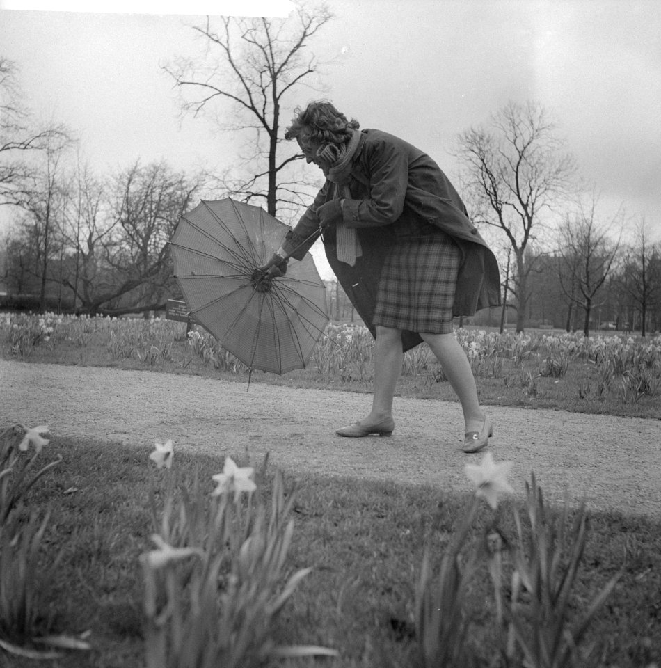 Morgen is het lente, Bestanddeelnr 912-2459