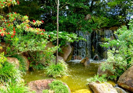 Morikami Falls - Morikami Museum and Japanese Gardens - Palm Beach County, Florida - DSC03596