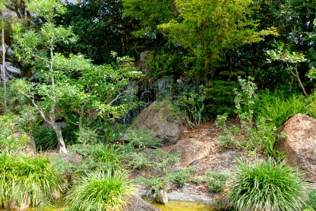 Morikami Falls - Morikami Museum and Japanese Gardens - Palm Beach County, Florida - DSC03588