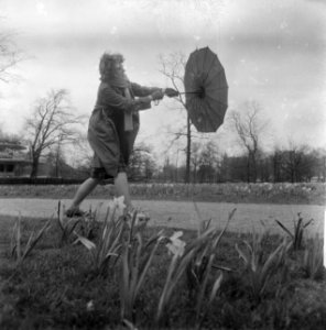 Morgen is het lente, Bestanddeelnr 912-2458