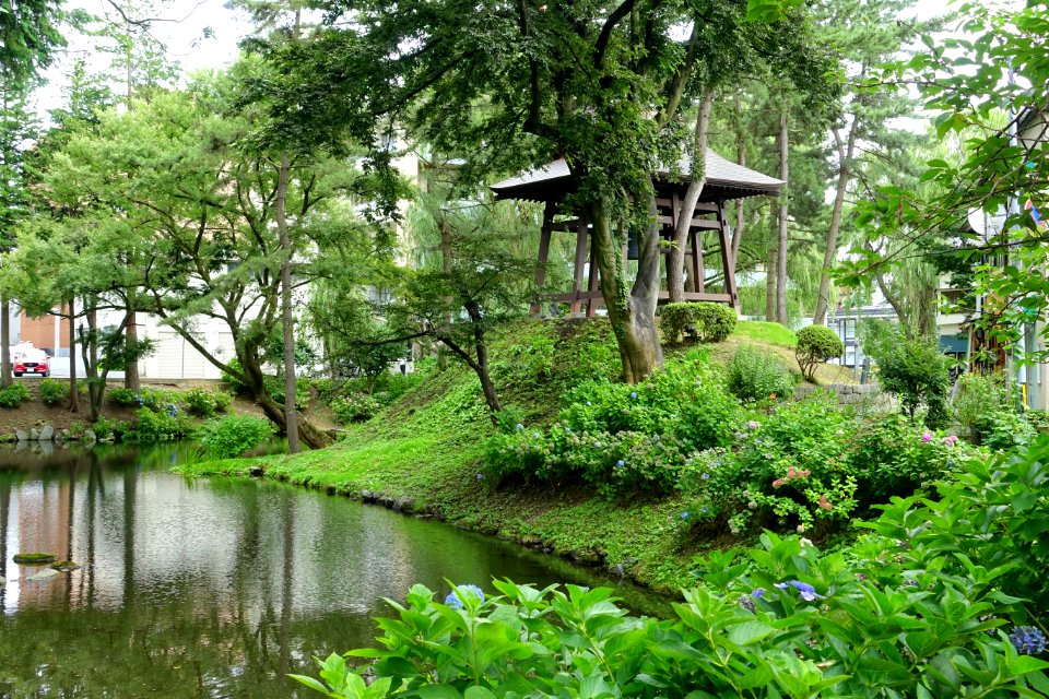 Morioka Castle Moat - Morioka, Iwate - DSC04038