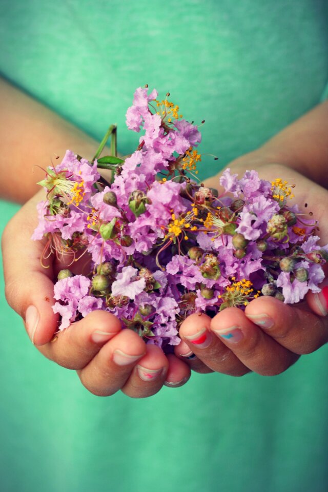 Rustic garden farm