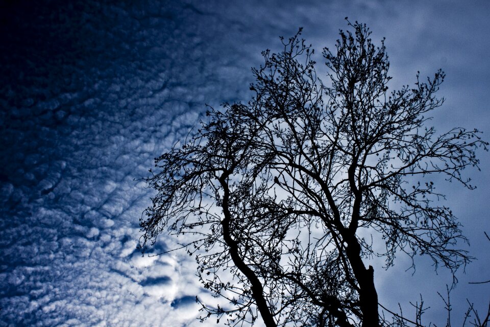 Sky silhouette reverse light