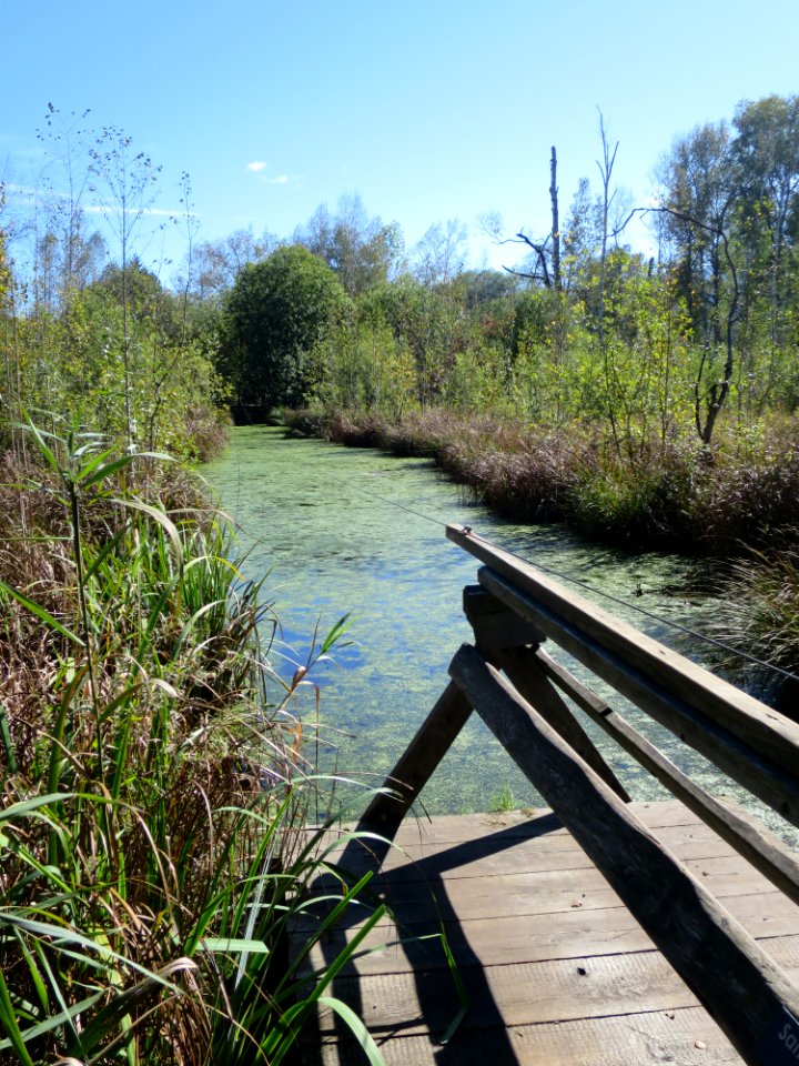 Moorsee Benediktbeuern