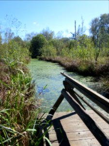 Moorsee Benediktbeuern
