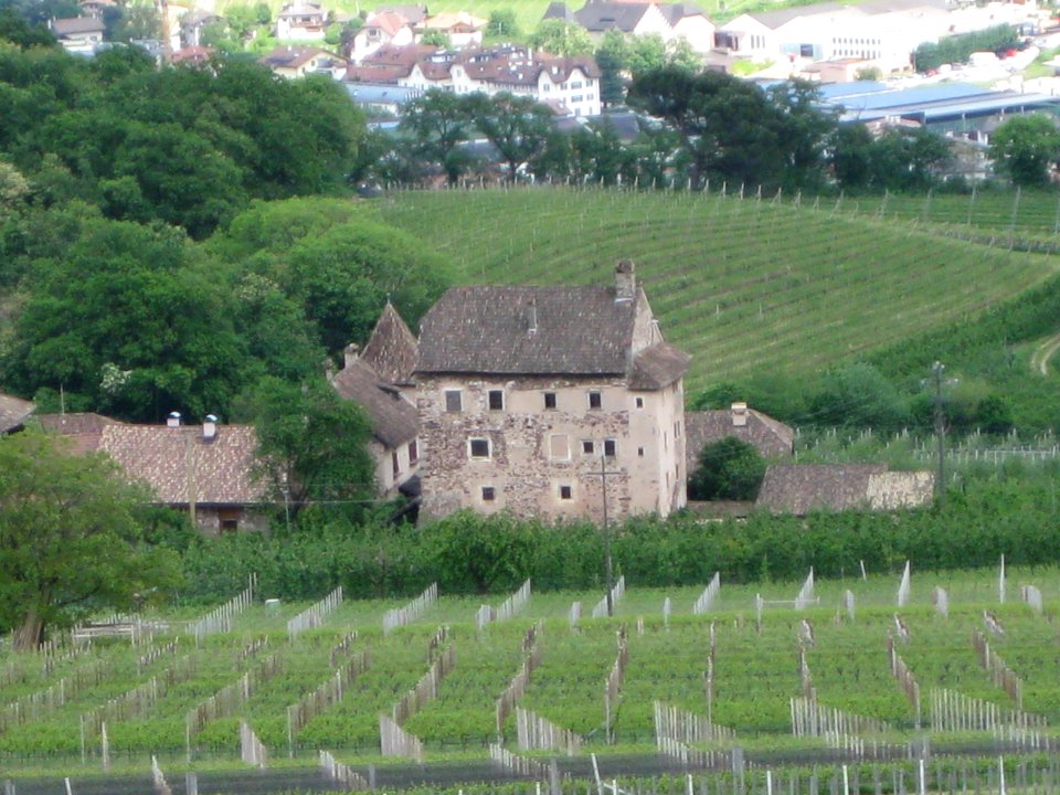 Moos (Schulthaus) in Eppan 1