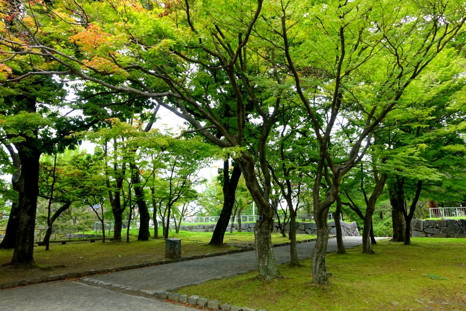Morioka Castle - Iwate, Japan - DSC03926