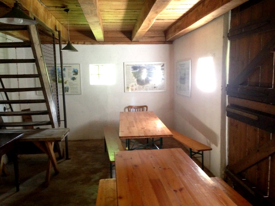 Moormuseum Geeste - 38