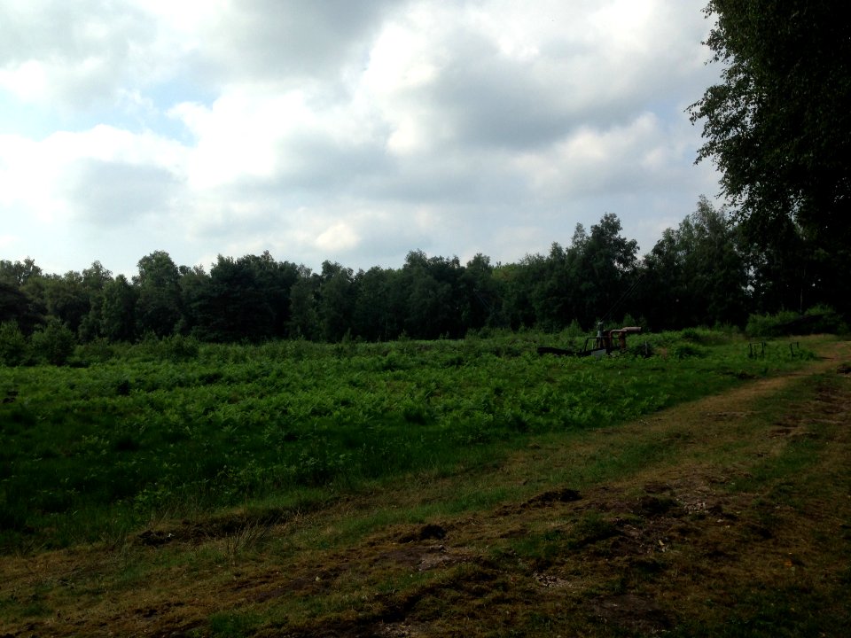 Moormuseum Geeste - 25