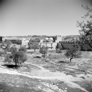 Moria Nabij Jeruzalem, Bestanddeelnr 255-5431