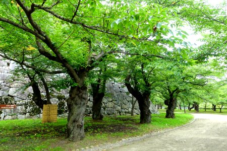 Morioka Castle - Iwate, Japan - DSC03915