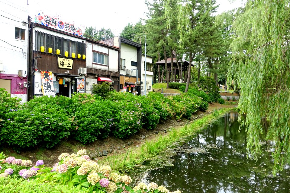 Morioka Castle Moat - Morioka, Iwate - DSC04044