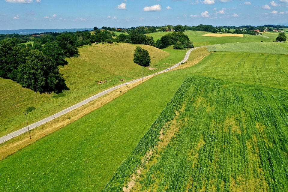 Moränenwälle Oberforst