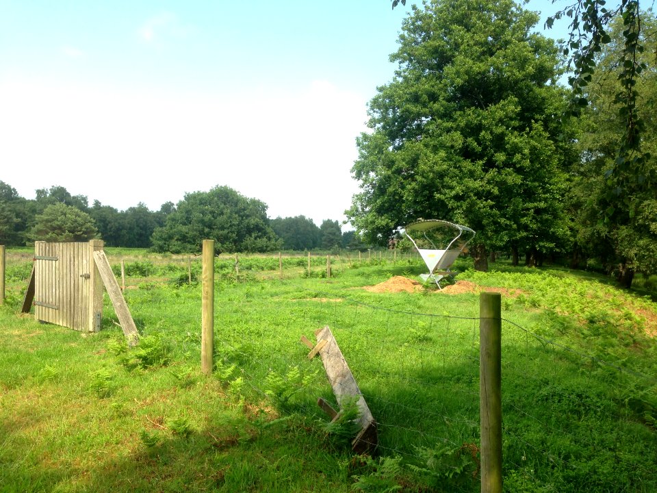 Moormuseum Geeste - 29