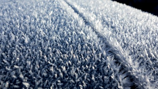 Morning frost on car roof 1 photo