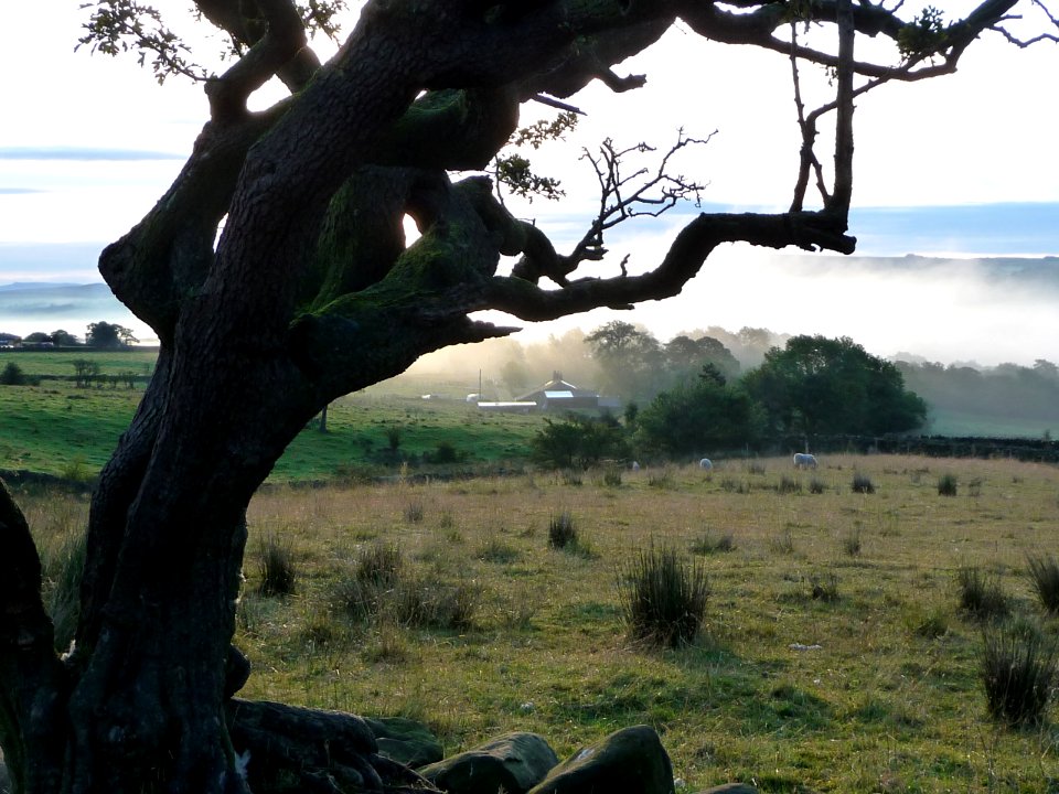Morning at Blacko 05