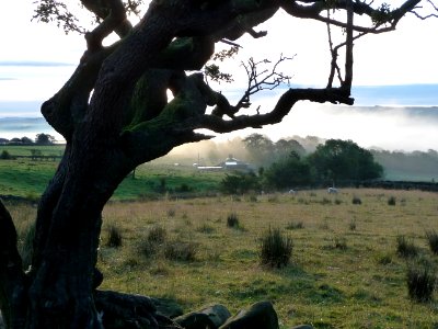 Morning at Blacko 05