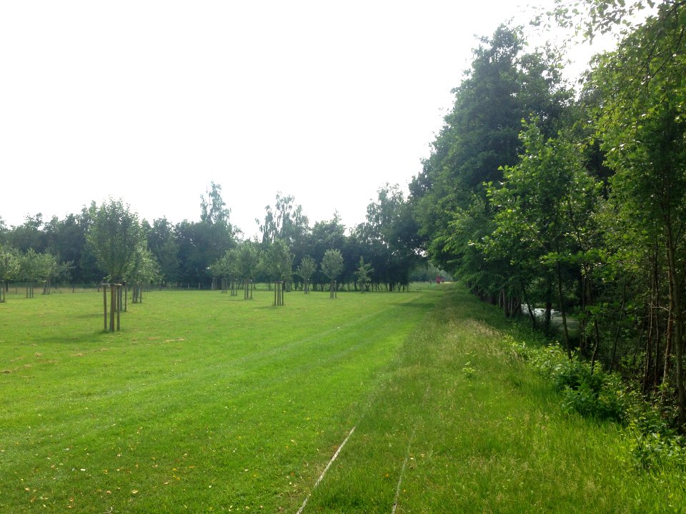 Moormuseum Geeste - 28