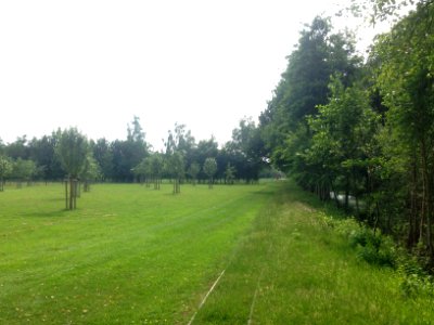 Moormuseum Geeste - 28