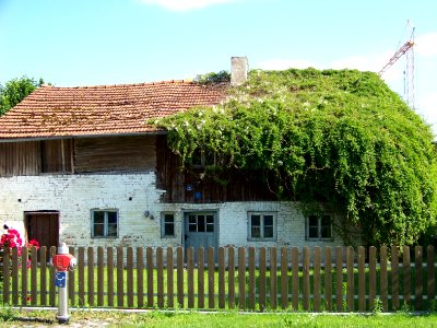 Moosthenning-Dornwang-Dorfstraße-7