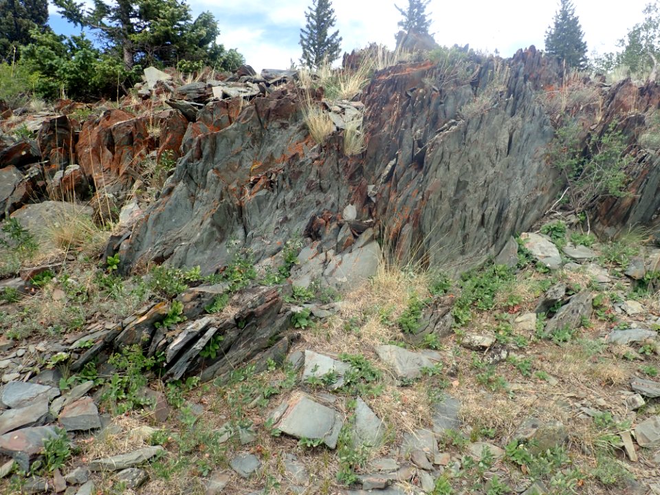Moppin complex iron mountain