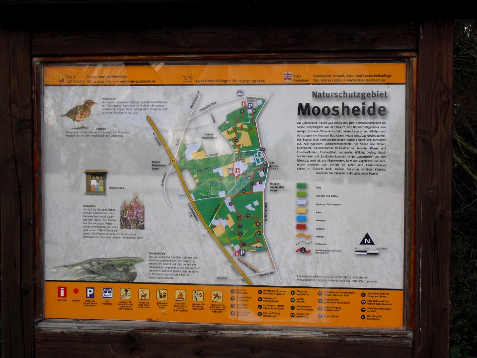 Moosheide - Informationstafel