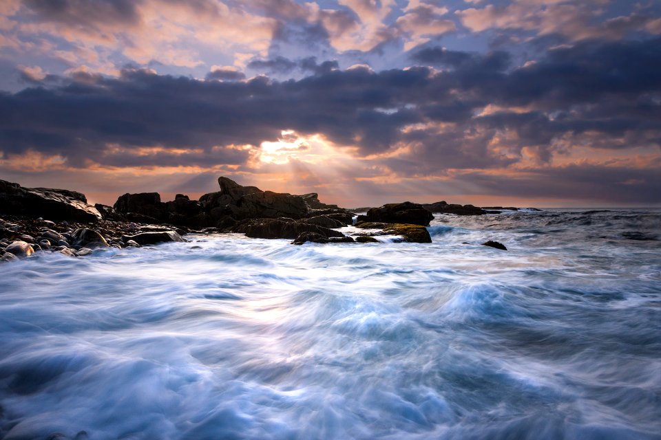 Morning Bliss (251245719)