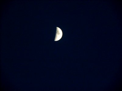 Moon of Nishapur (1)