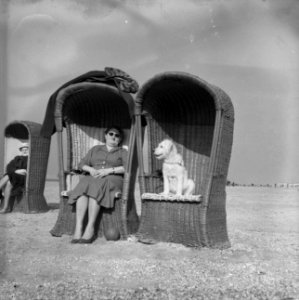 Mooi weer aan het strand te Zandvoort Bazin en hond in strandstoel, Bestanddeelnr 912-1737 photo