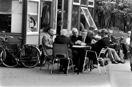 Mooi weer in Amsterdam klaverjassen in het Vondelpark, Bestanddeelnr 927-8854
