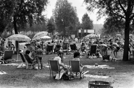 Mooi weer, mensen in de schaduw onder bomen bij Sloterplas, Bestanddeelnr 932-1979