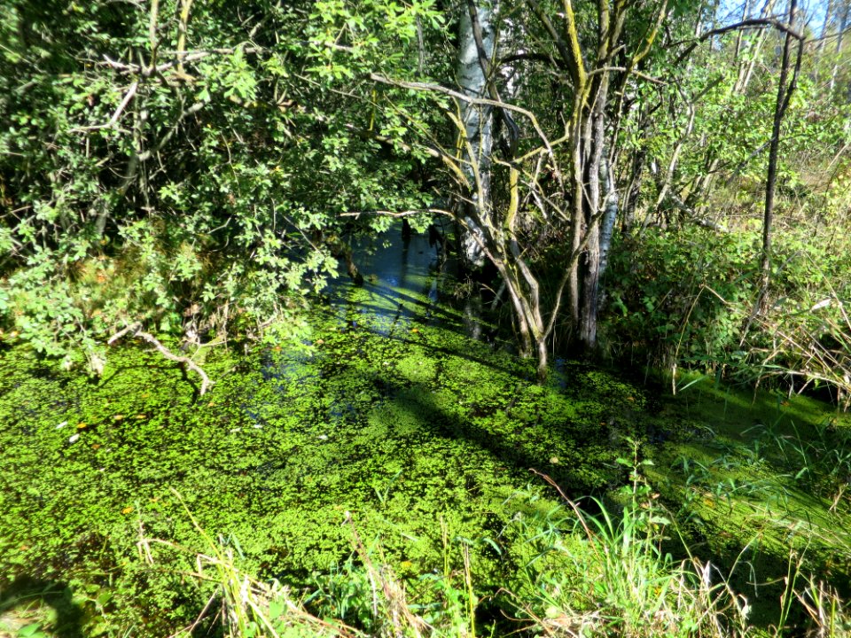 Moorbach Bendiktbeuern