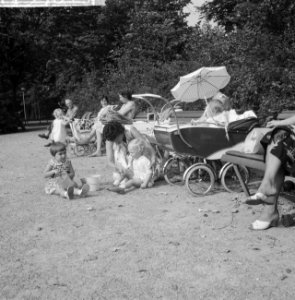 Mooi weer in het Vondelpark, Bestanddeelnr 911-5961