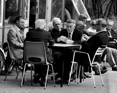 Mooi weer in Amsterdam klaverjassen in het Vondelpark, Bestanddeelnr 927-8854 (cropped)